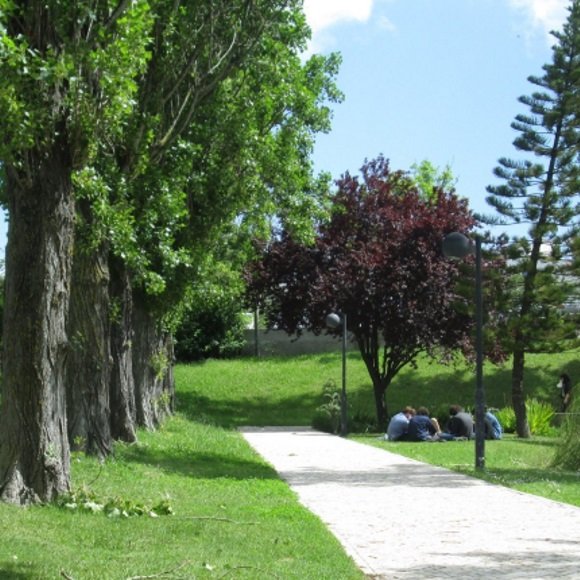 Jardim Zona de jardim, com passeio em calçada portuguesa ladeada por choupos. Fotografia com câmara baixa, tirada na Primavera, com folhas verdes. Ao fundo, grupo de estudantes sentados em círculo no relvado ao lado do passeio.