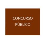 Concurso Público Internacional – Professor Auxiliar (588/2022)