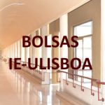 Bolsa de investigação: projeto “LOOP” (IE-ULisboa/01/BI/2022)