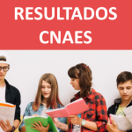 IE-ULisboa: aumenta a procura pela Licenciatura