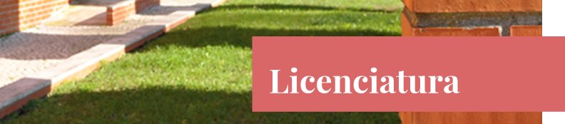 licenciaturas