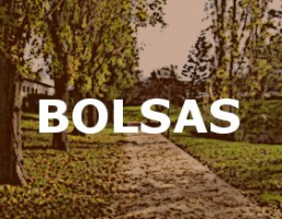 Bolsa de Estudo por Mérito 2023/2024