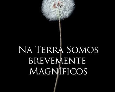 Na Terra Somos Brevemente Magníficos – Ocean Voung